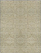 8x10 Darcy Nepali Transitional Rug