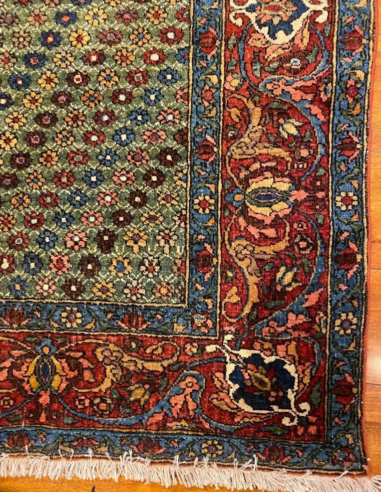 Bakhtiari