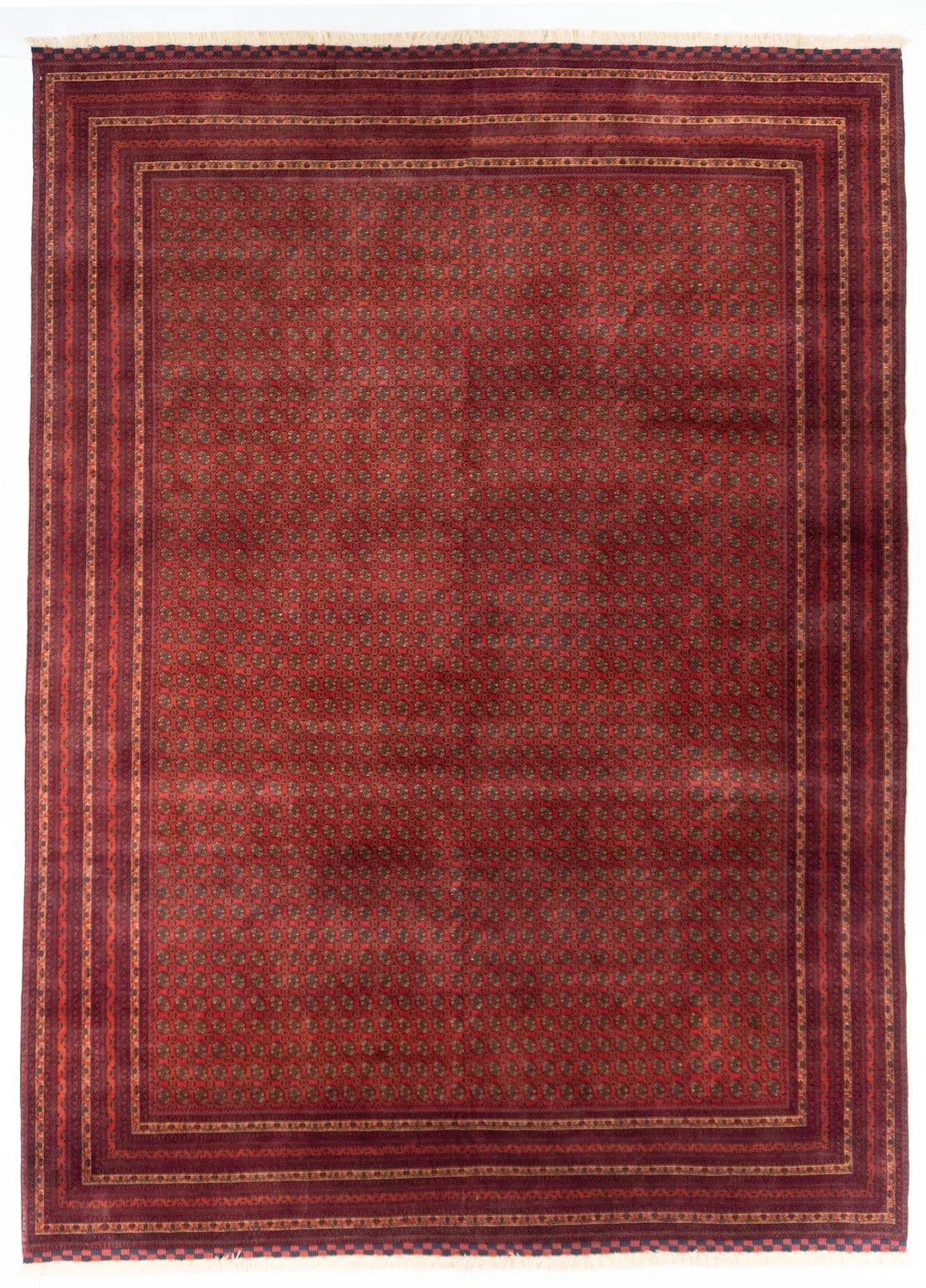 8x10 Turkmen Tribal Rug
