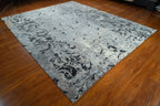 8'x10' Temptation, Transitional