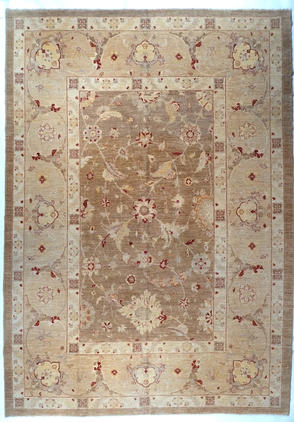10x14 Sultanabad Pakistani Traditional Rug