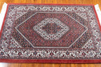 3'1"x5'1" Bijar, Classic