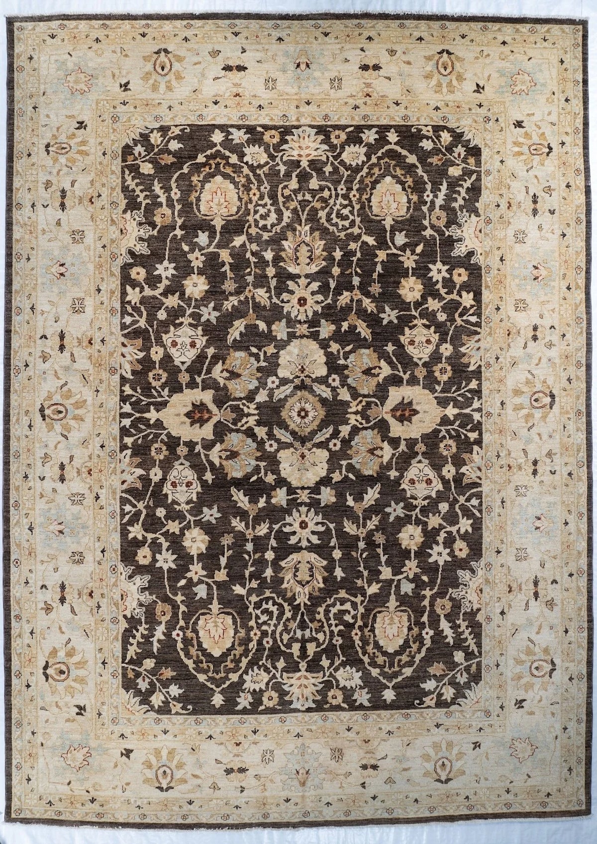 10x14 Sultanabad Pakistani Traditional Rug
