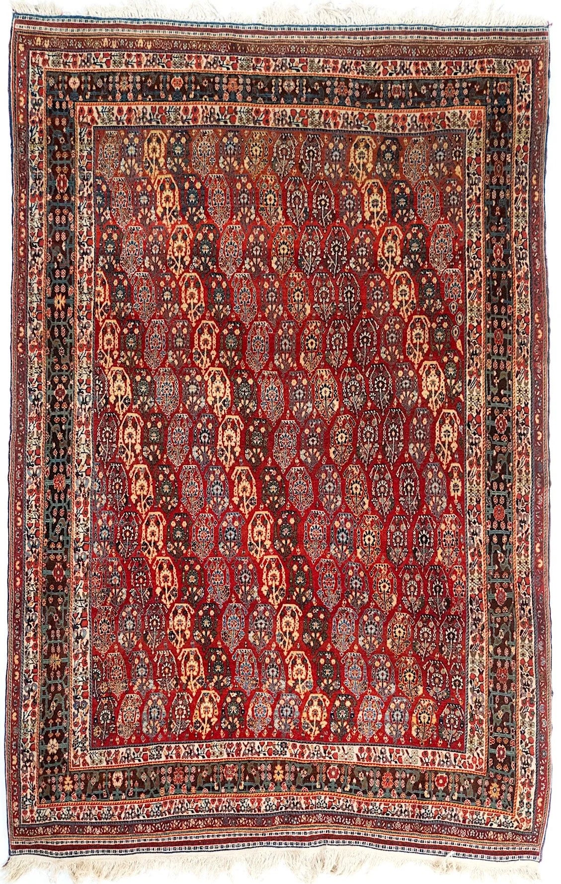 5x8 Afshar Persian Antique Rug