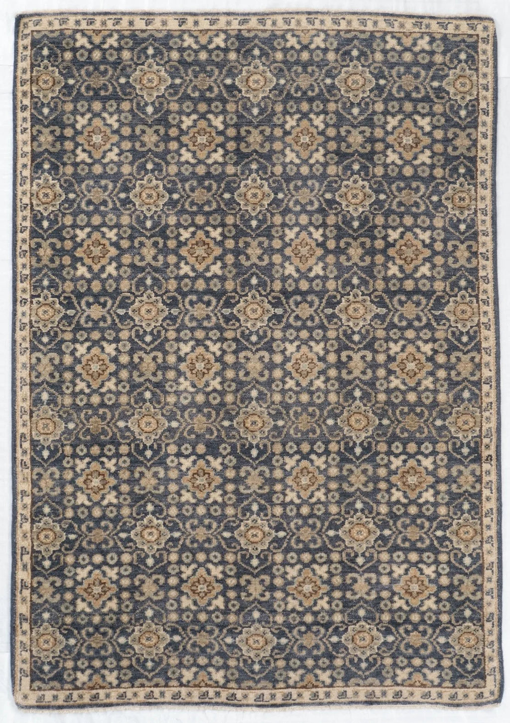 4x6 Flavia Indian Transitional Rug