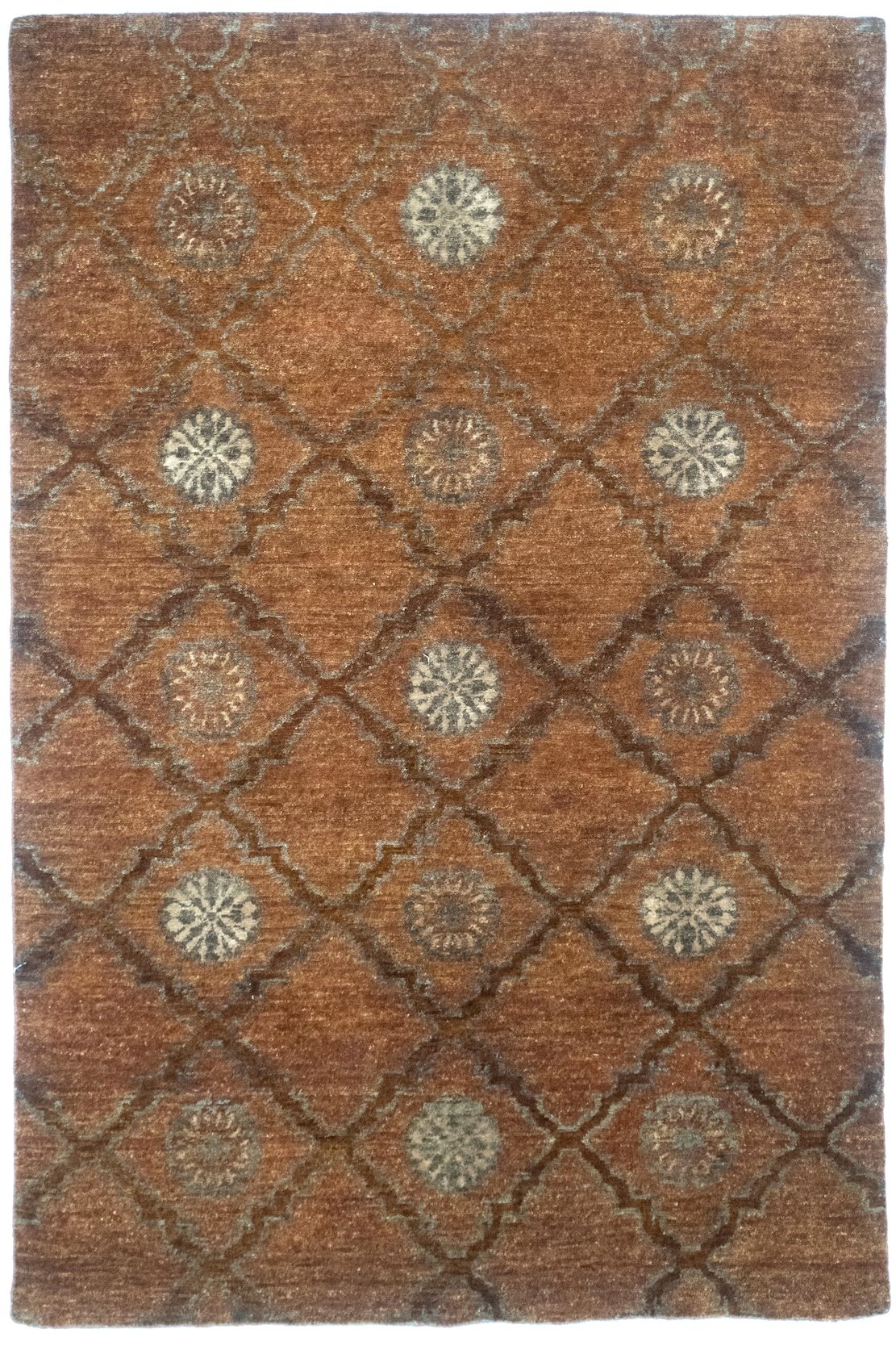 4x6 Derbyshire Indian Transitional Rug
