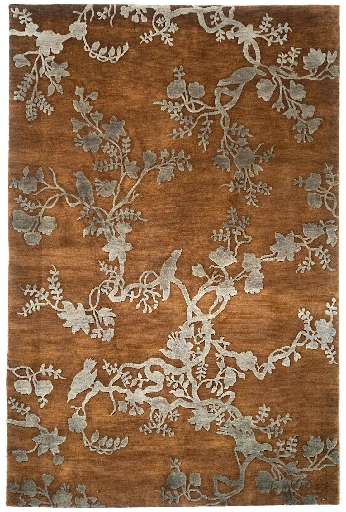 6x9 Asian Indian Transitional Rug