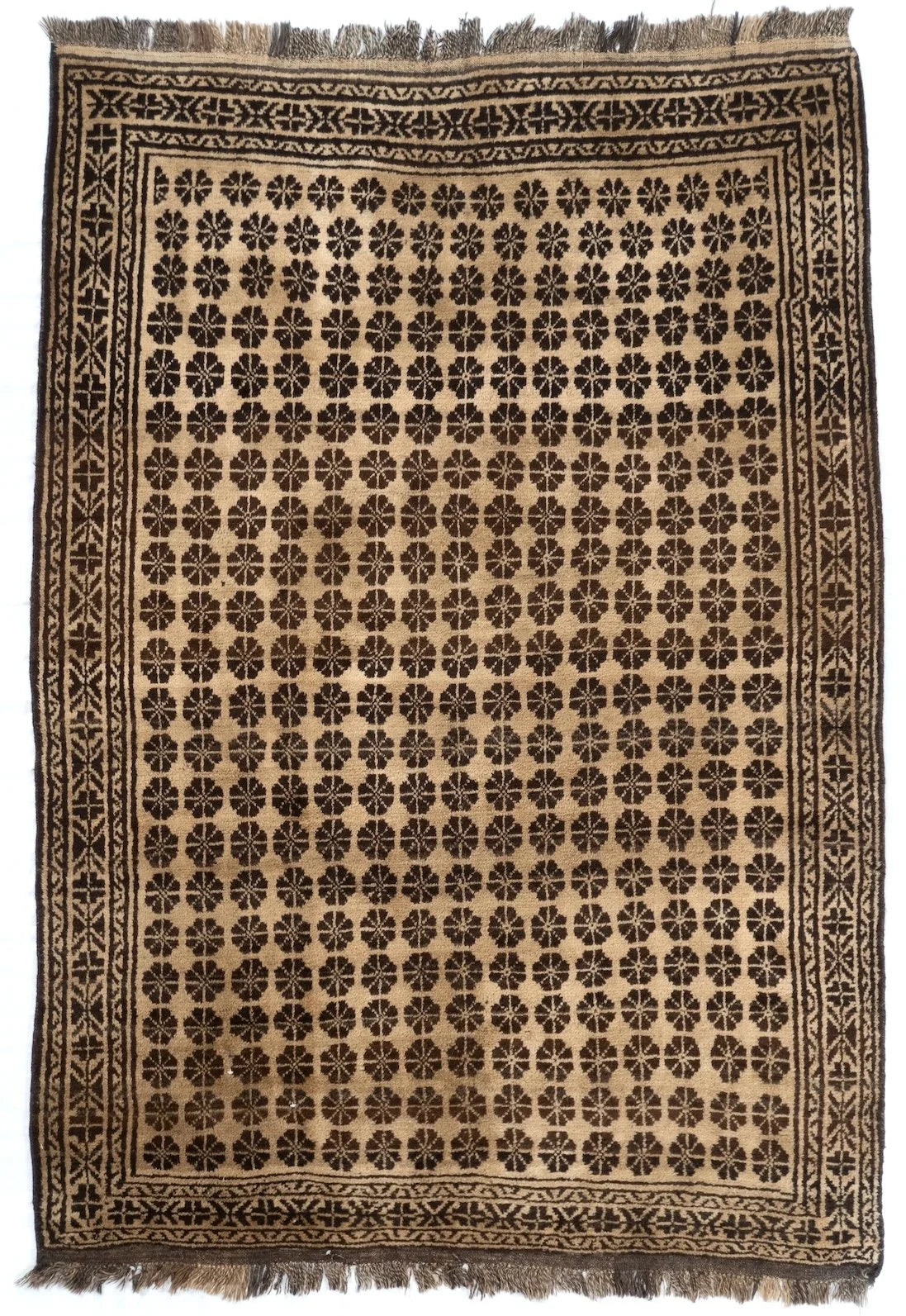 5x7 Baluch Afghan Tribal Rug