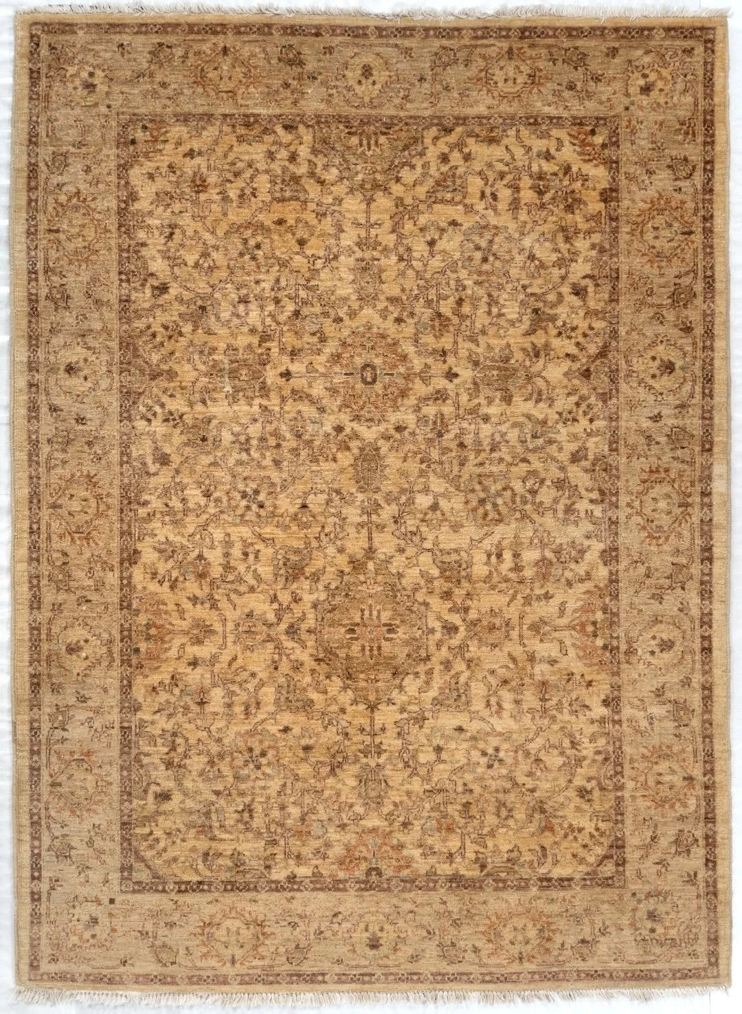 5x7 Sultanabad Pakistani Traditional Rug