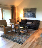 6'x9' Ikat, Transitional