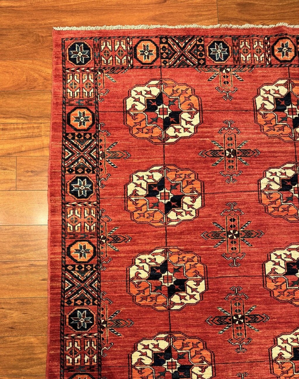 Turkmen Salor