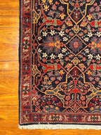 3'2"x9'6" Bijar, Classic