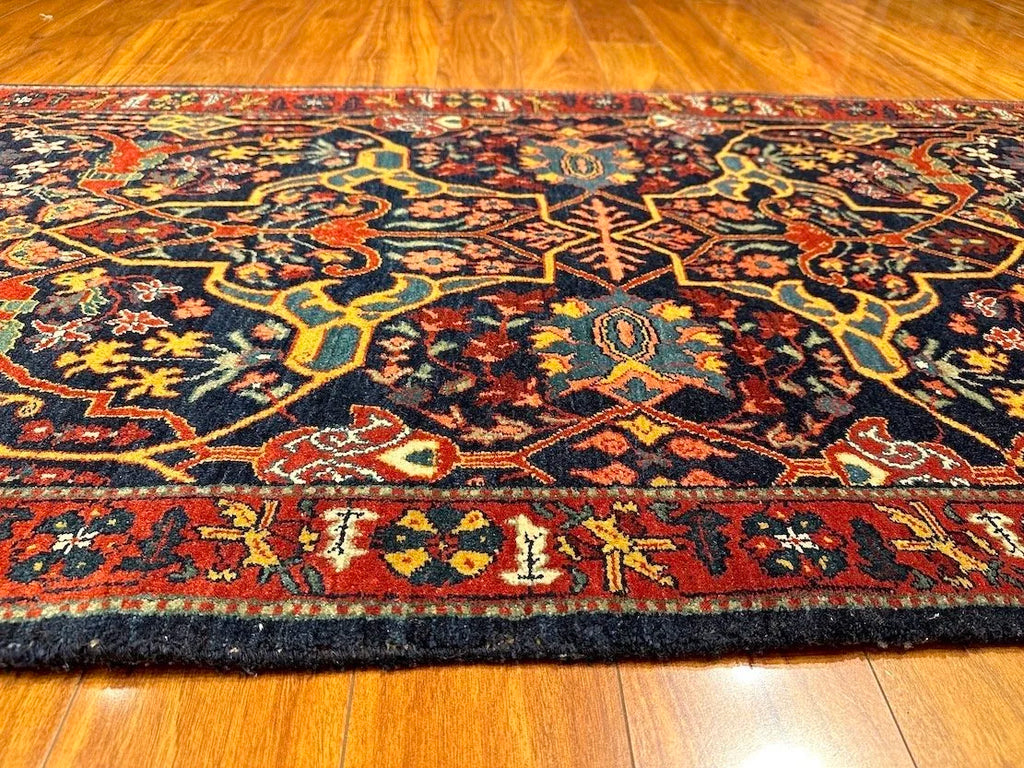 3'2"x9'6" Bijar, Classic
