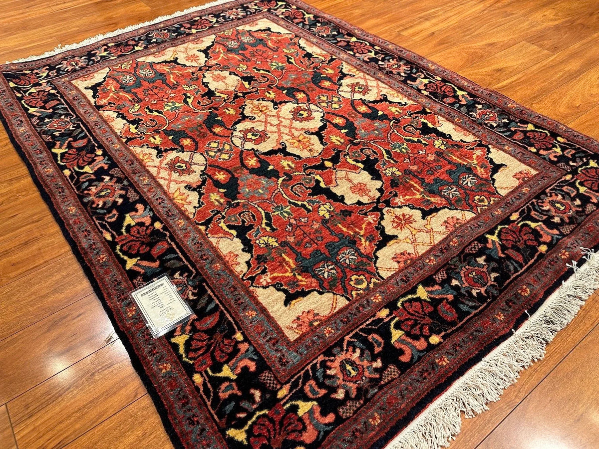 4'4"x6' Bijar, Classic