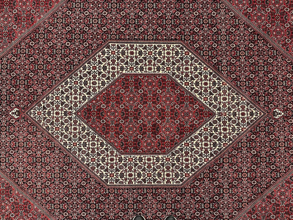 8'4"x11'2" Bijar, Classic