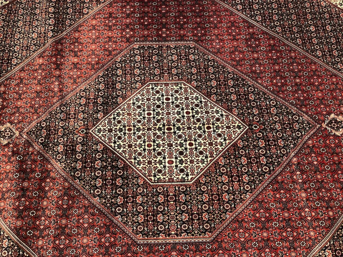 9'10"X13'5'' Bijar, Classic