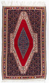 4'8"x8'2" Senneh, Tribal