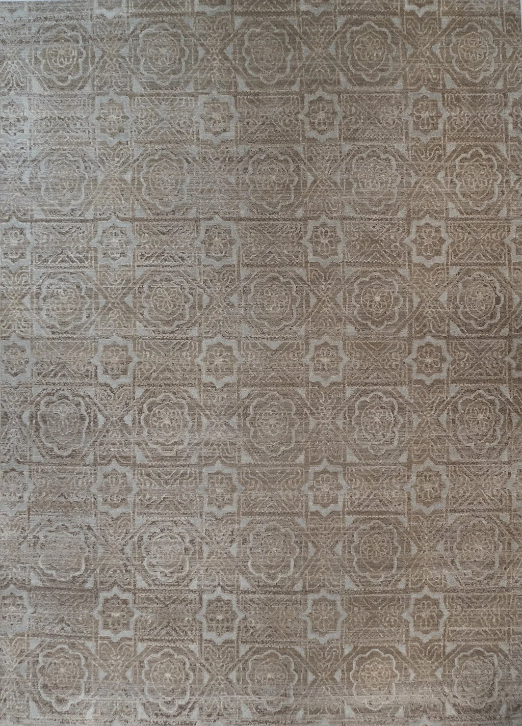 9x12 Manya Indian Transitional Rug