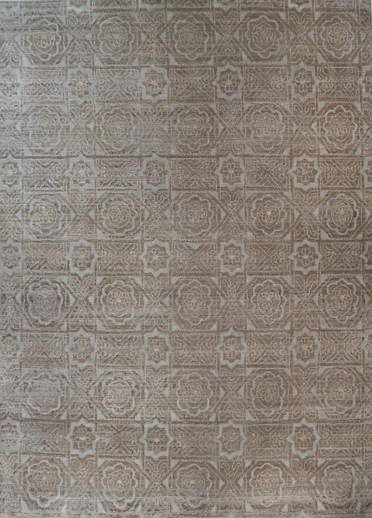 9x12 Manya Indian Transitional Rug