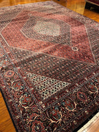 9'10"X13'5'' Bijar, Classic