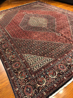 9'10"X13'5'' Bijar, Classic