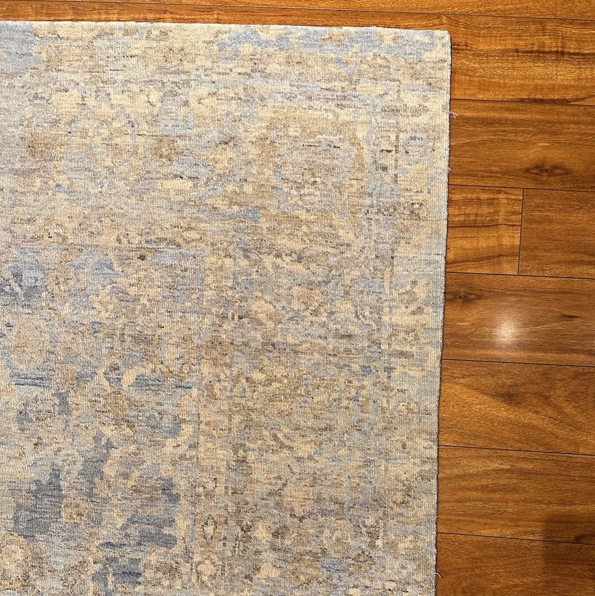 8'x10' Sarina, Transitional