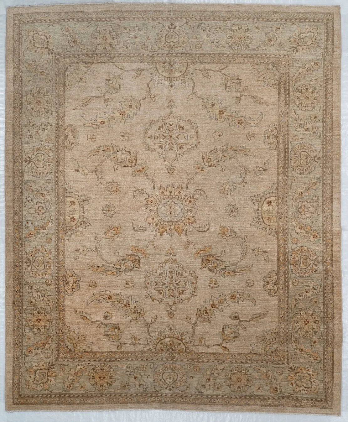 8x10 Sultanabad Pakistani Traditional Rug