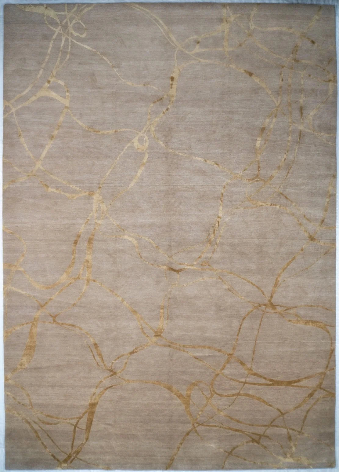 10x14 Nasrti Nepali Modern Rug