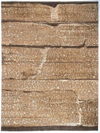 9'x11'11" Rosetta, Transitional