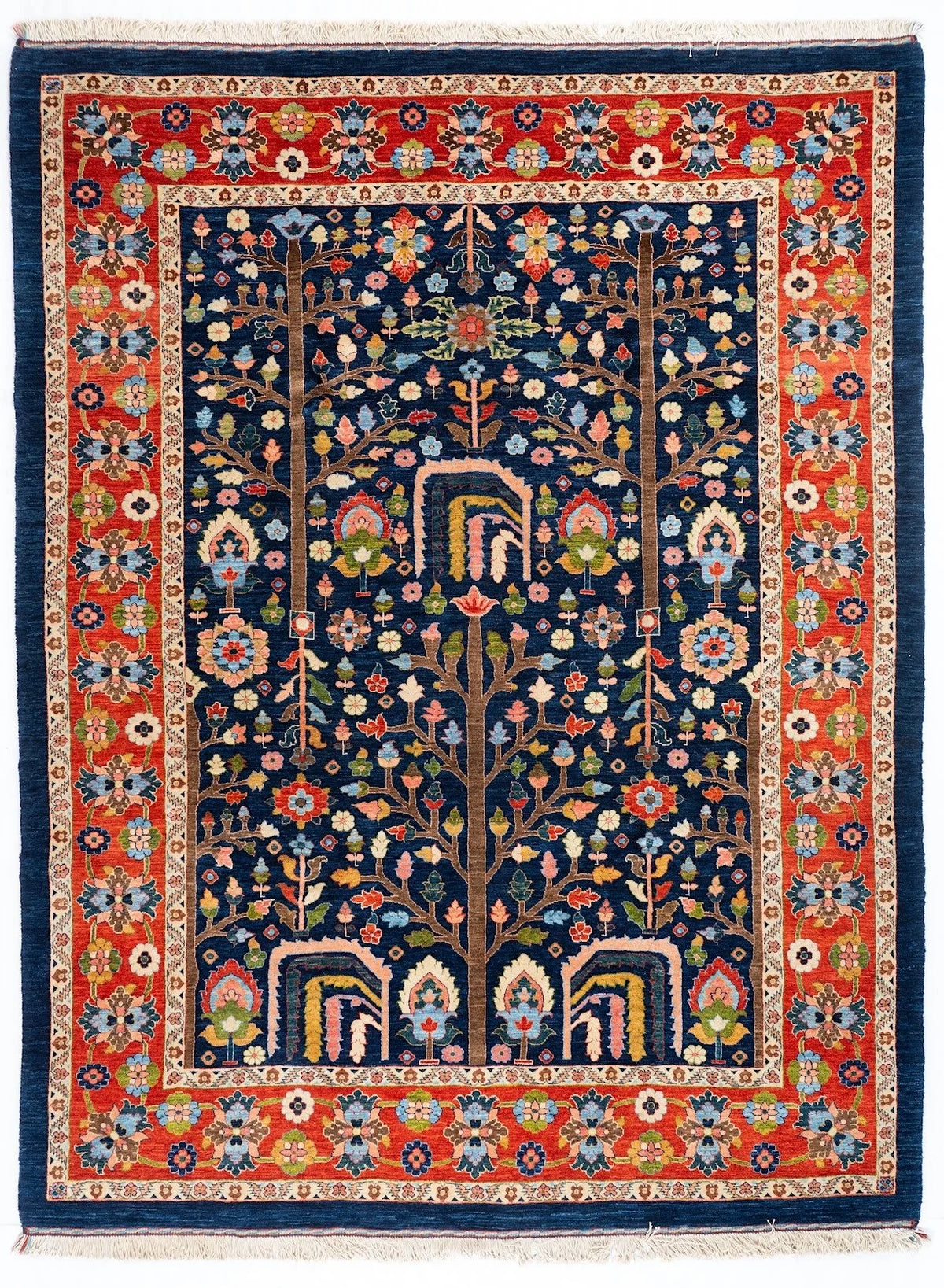 6x9 Bakhtiari Persian Tribal Rug