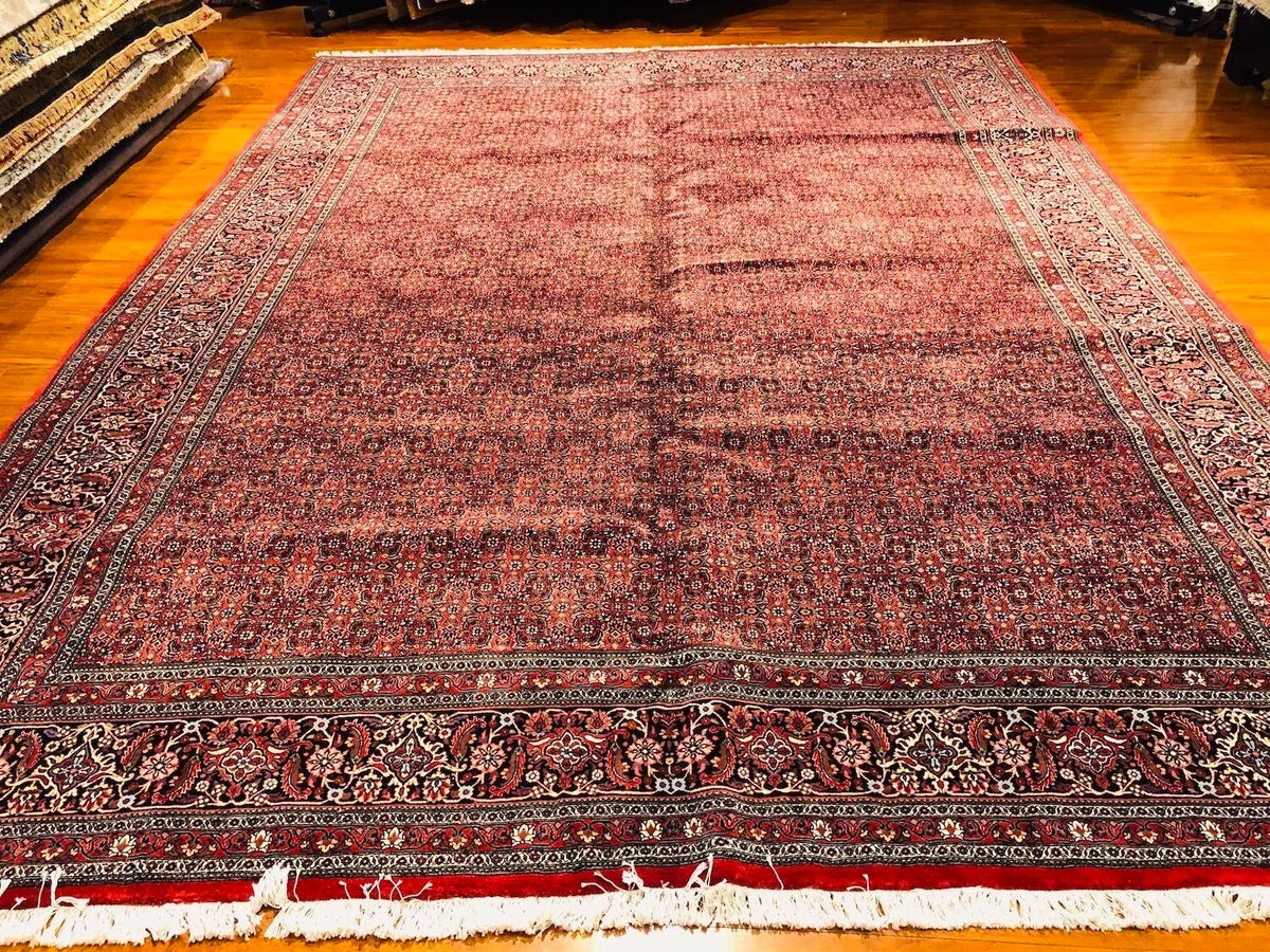 10'X13'1" Bijar, Classic