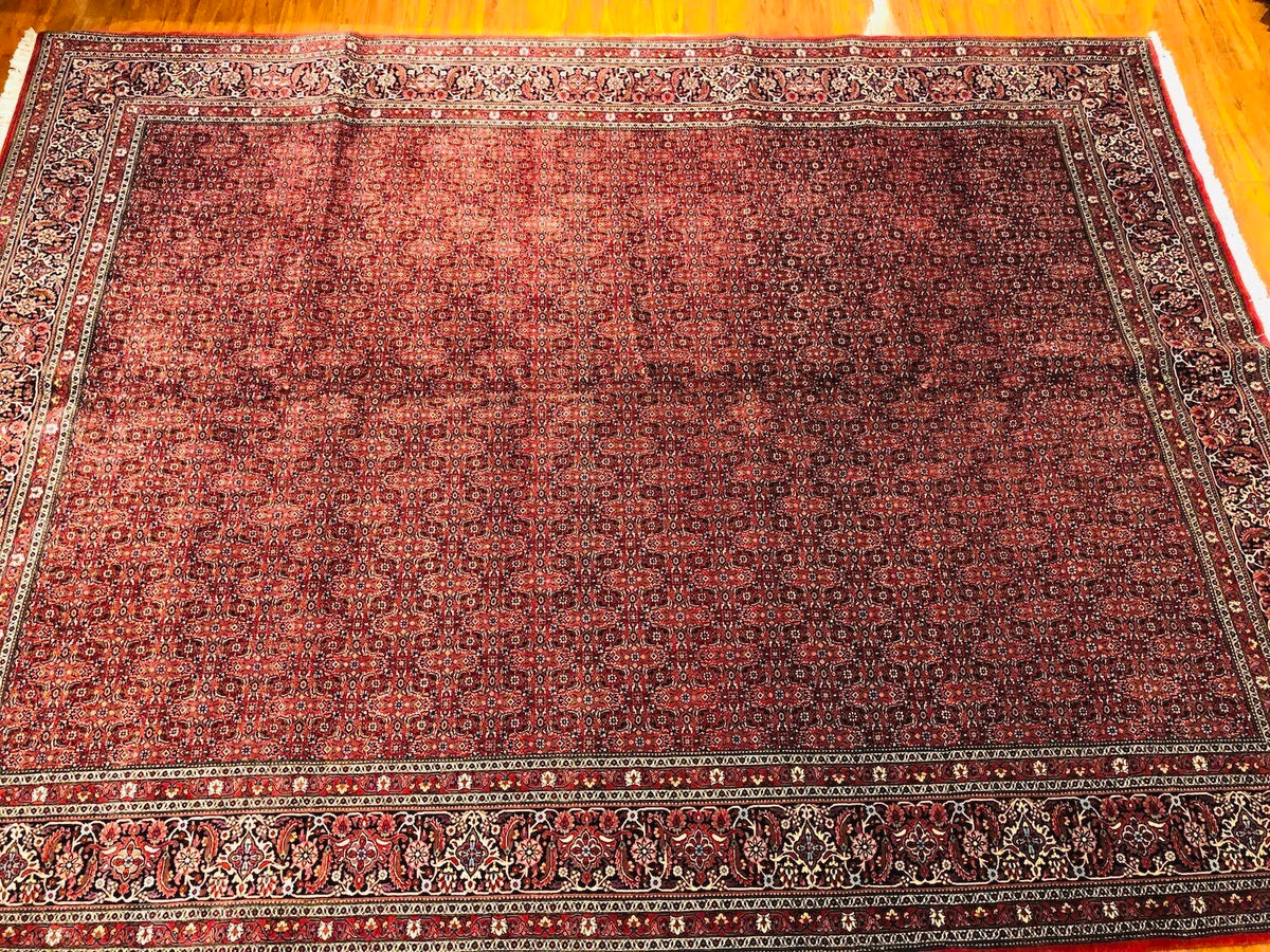 10'X13'1" Bijar, Classic