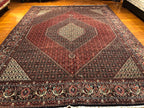 9'10"X13'5'' Bijar, Classic